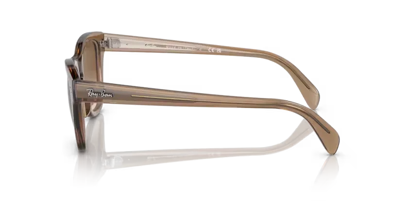 rb0707s664051_2.png