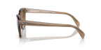 rb0707s664051_2.png