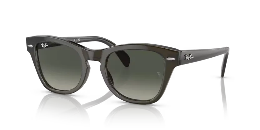 rb0707s664271_1.png