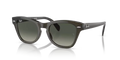 rb0707s664271_1.png