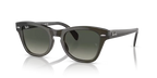 rb0707s664271_1.png