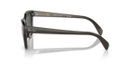 rb0707s664271_2.png