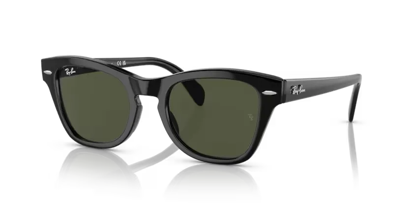 rb0707s90131_1.png