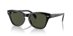 rb0707s90131_1.png