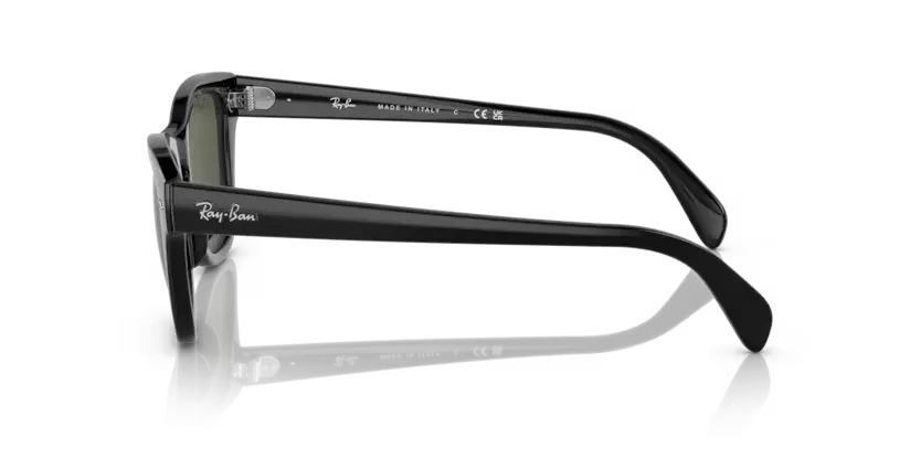 rb0707s90131_2.png
