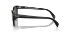rb0707s90131_2.png