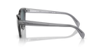 rb0707s66413r_2.png