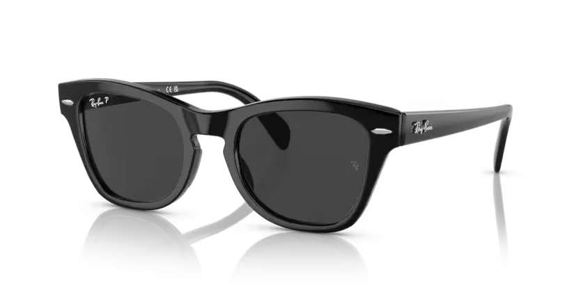 rb0707s90148_1.png