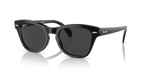 rb0707s90148_1.png