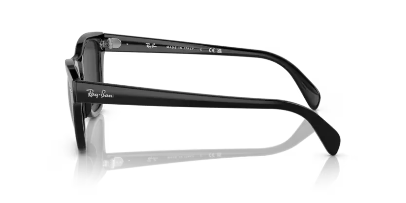 rb0707s90148_2.png
