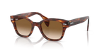 rb0880s95451_1.png