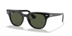 rb216890131_1.png