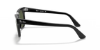 rb216890131_2.png