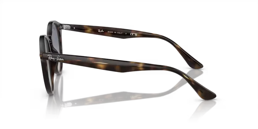 rb21807104l_2.png