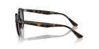 rb21807104l_2.png