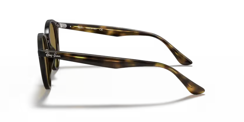 rb218071073_2.png