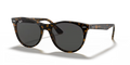 rb21851292b1_1.png