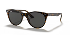 rb21851292b1_1.png