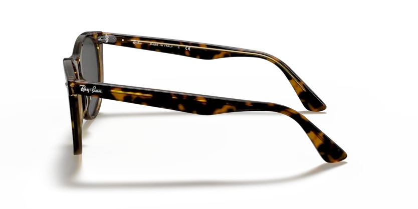 rb21851292b1_2.png
