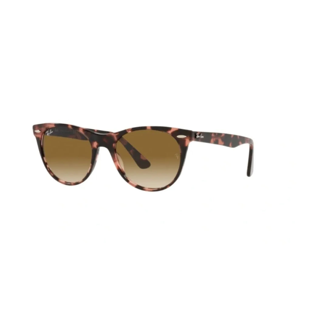 Gafas Ray Ban Wayfarer ii rb2185 133451
