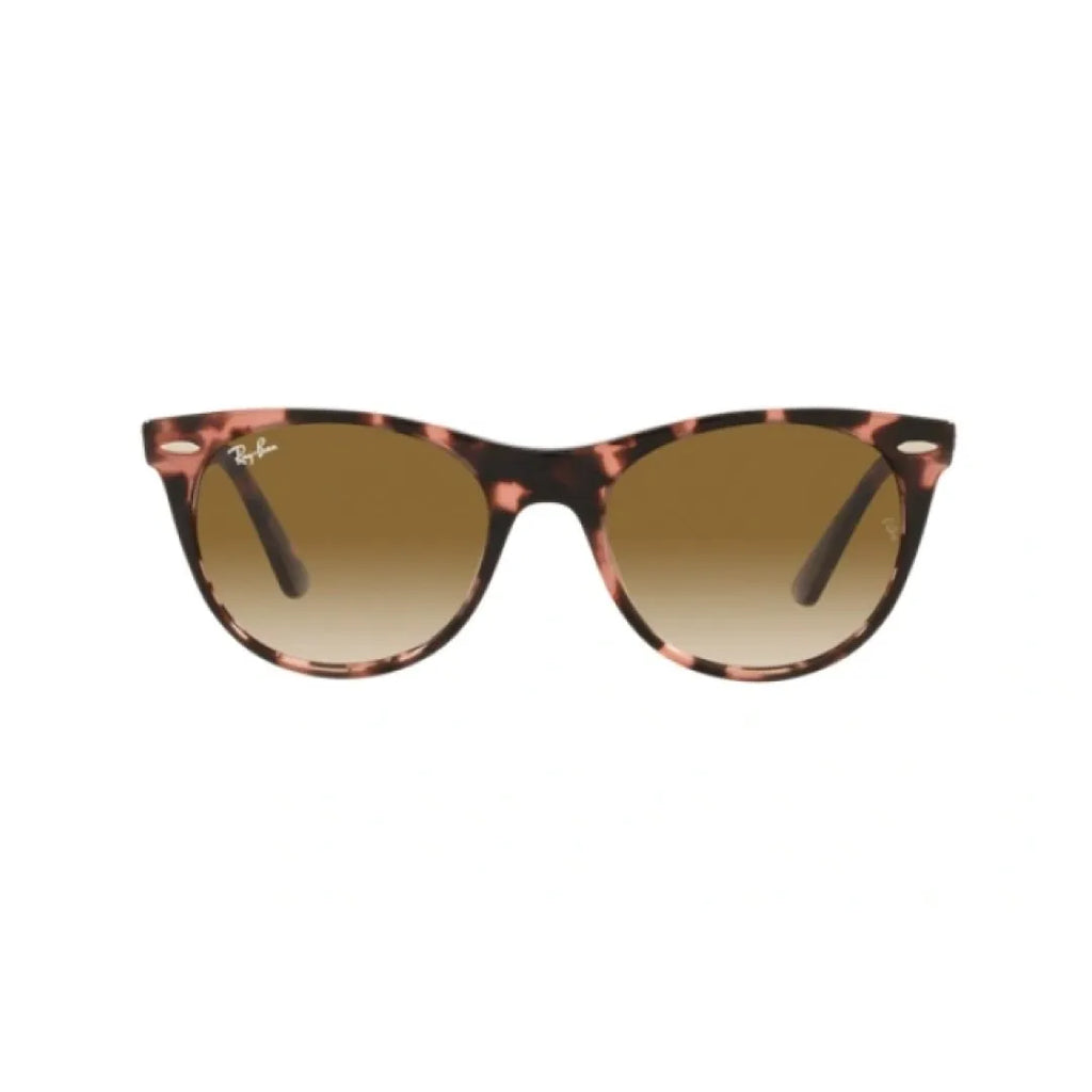 Gafas Ray Ban Wayfarer ii rb2185 133451