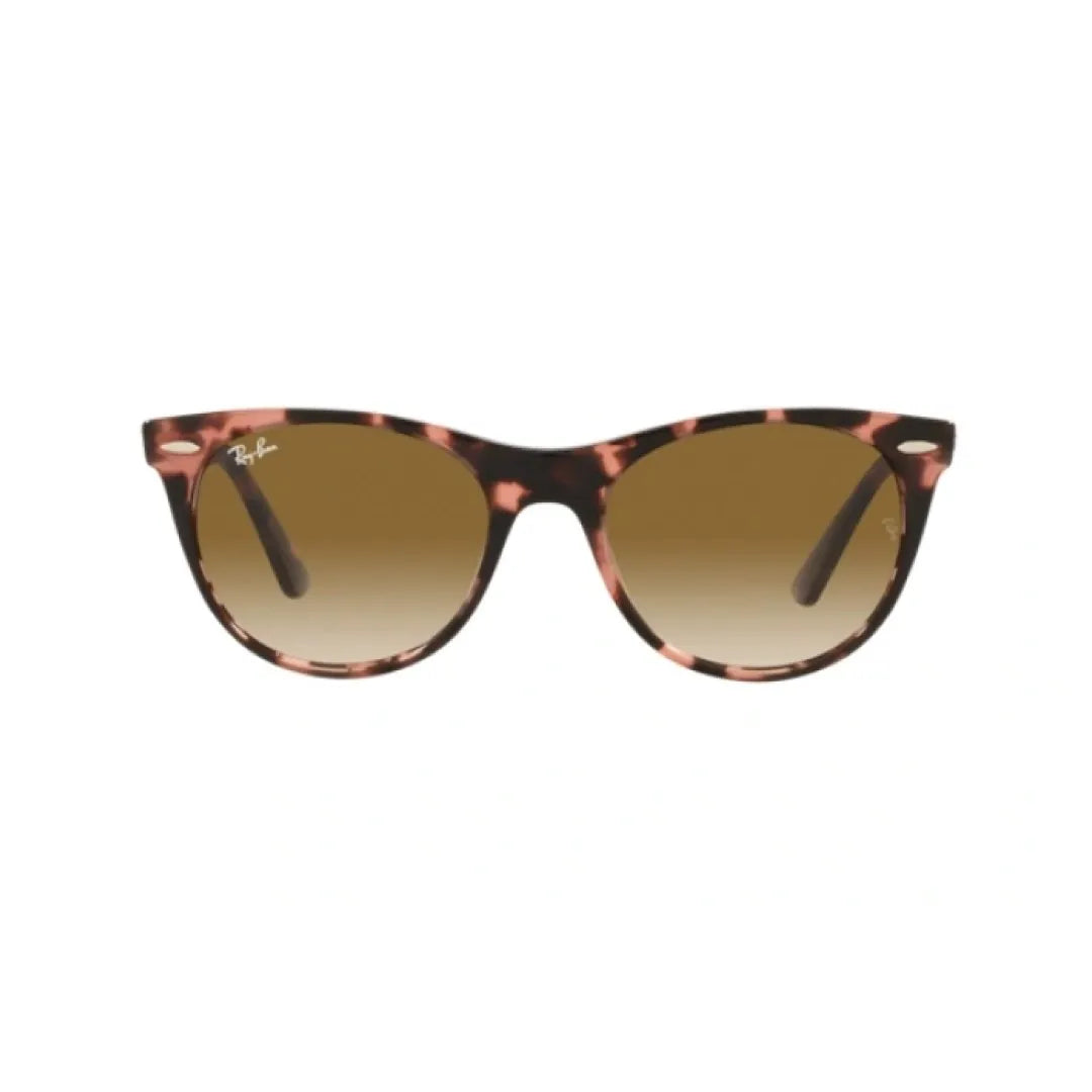 Gafas Ray Ban Wayfarer ii rb2185 133451