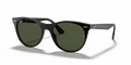 rb218590131_1.png