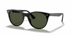 rb218590131_1.png