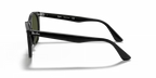rb218590131_2.png