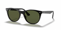 rb218590158_1.png