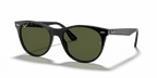 rb218590158_1.png