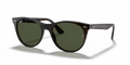 rb218590231_1.png