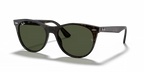 rb218590231_1.png