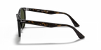 rb218590231_2.png