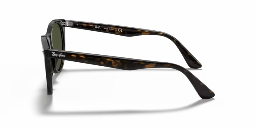 rb218590231_2.png