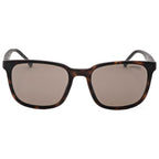 Gafas de Sol Carrera Marrón Rectangular CA8046-S-N9P-54