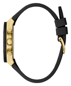 GW0030L2