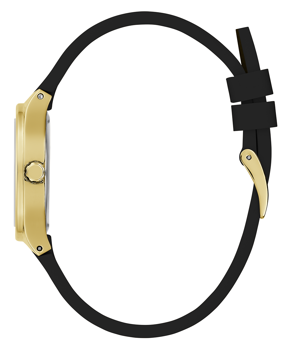 GW0658L1