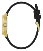 GW0658L1