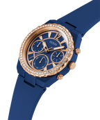 GW0697L3