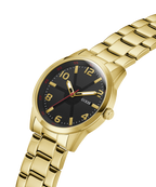 GW0804G3