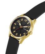 GW0805G2