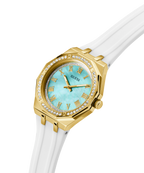 GW0872L1