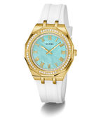 GW0872L1