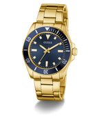 GW0968G2