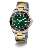 GW0968G4