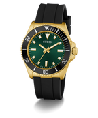 GW0969G2