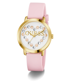 GW0998L2