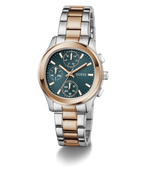 GW1031L5