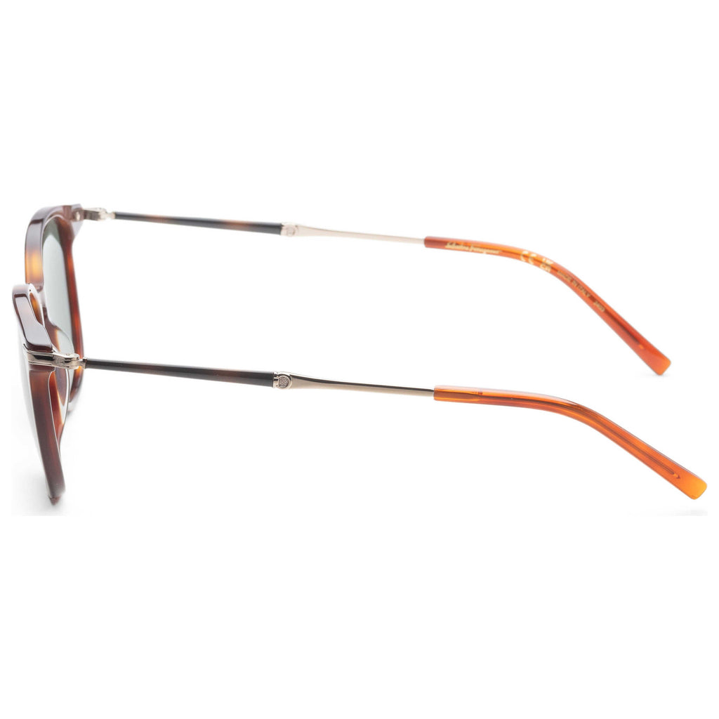 Gafas de Sol Salvatore Ferragamo Marrón Redonda SF1015S-214-52